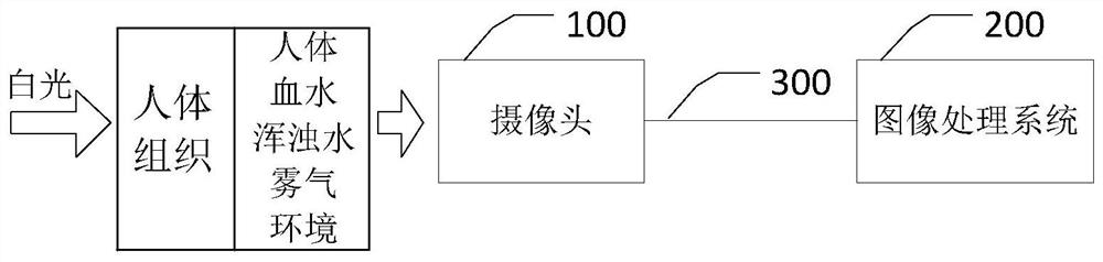 Polarized light endoscope device