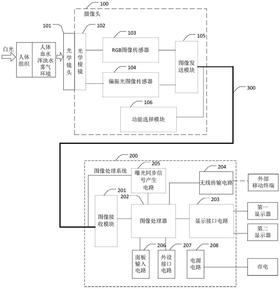 Polarized light endoscope device