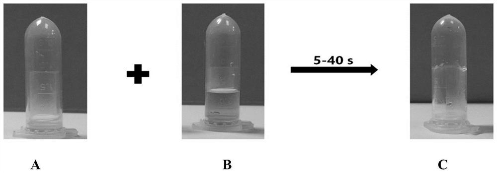 Preparation method of novel injectable drug-loaded hydrogel for treating osteosarcoma