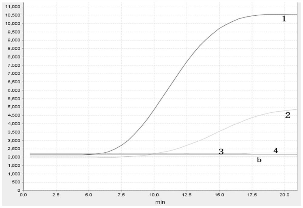 Specific primer pair for detecting cyprinid herpesvirus 2, probe and detection kit