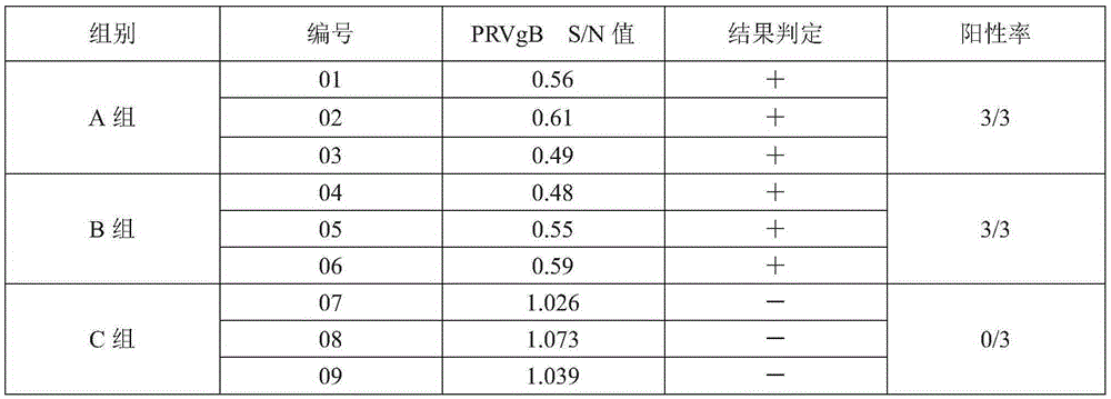 Pig pseudorabies live vaccine-pig mycoplasma pneumonia live vaccine composition and application thereof