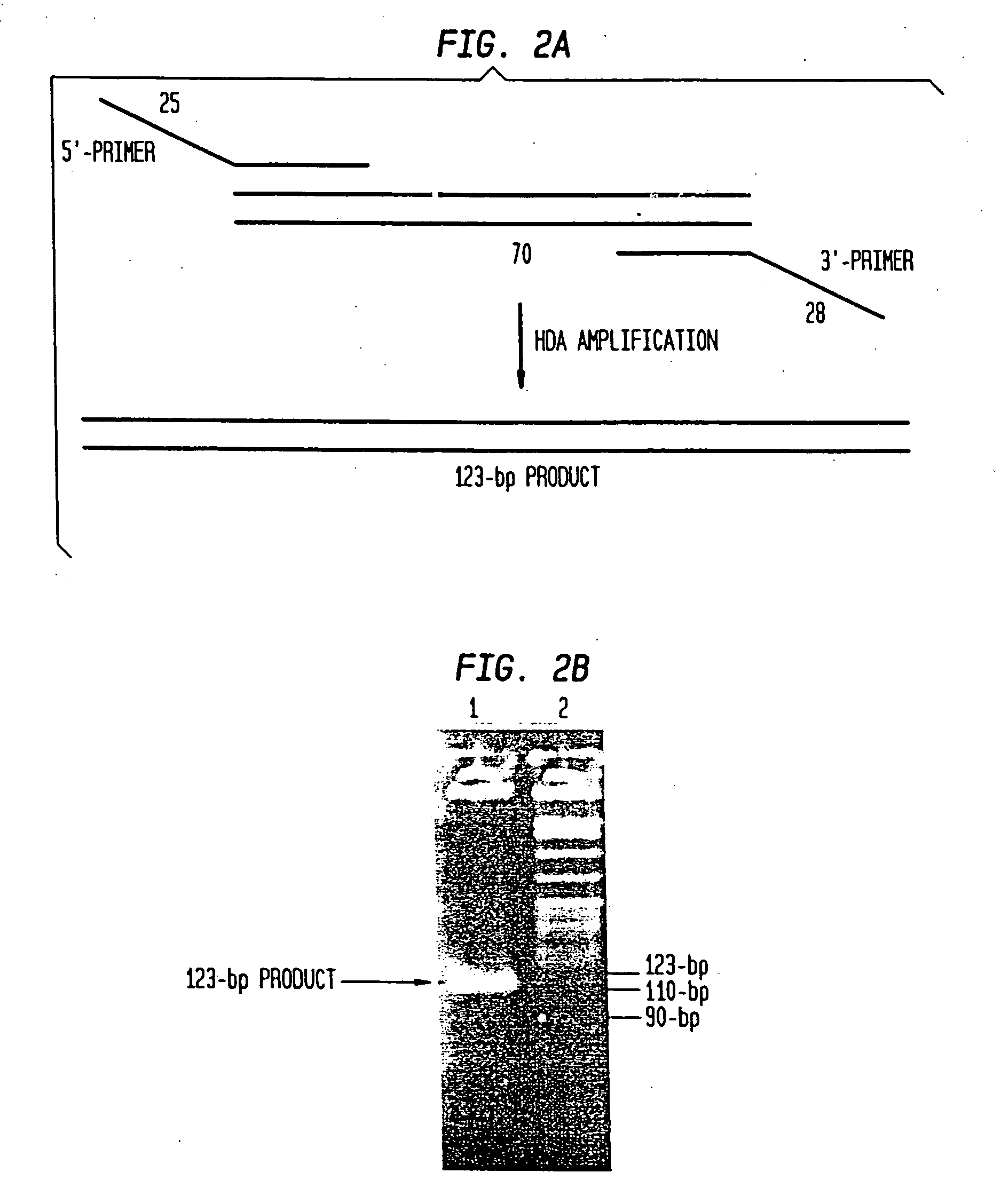 Helicase-dependent amplification of nucleic acids