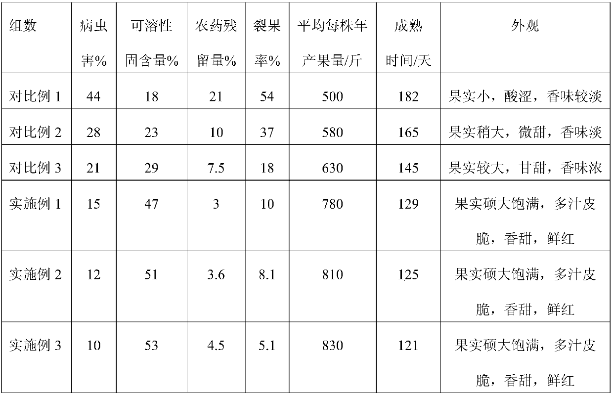 High-yield high-quality apple planting method