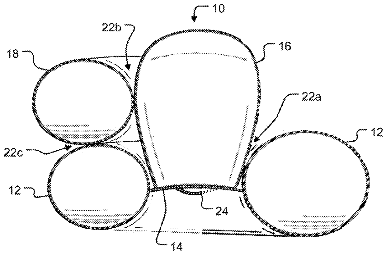 Multiple accessory storage device