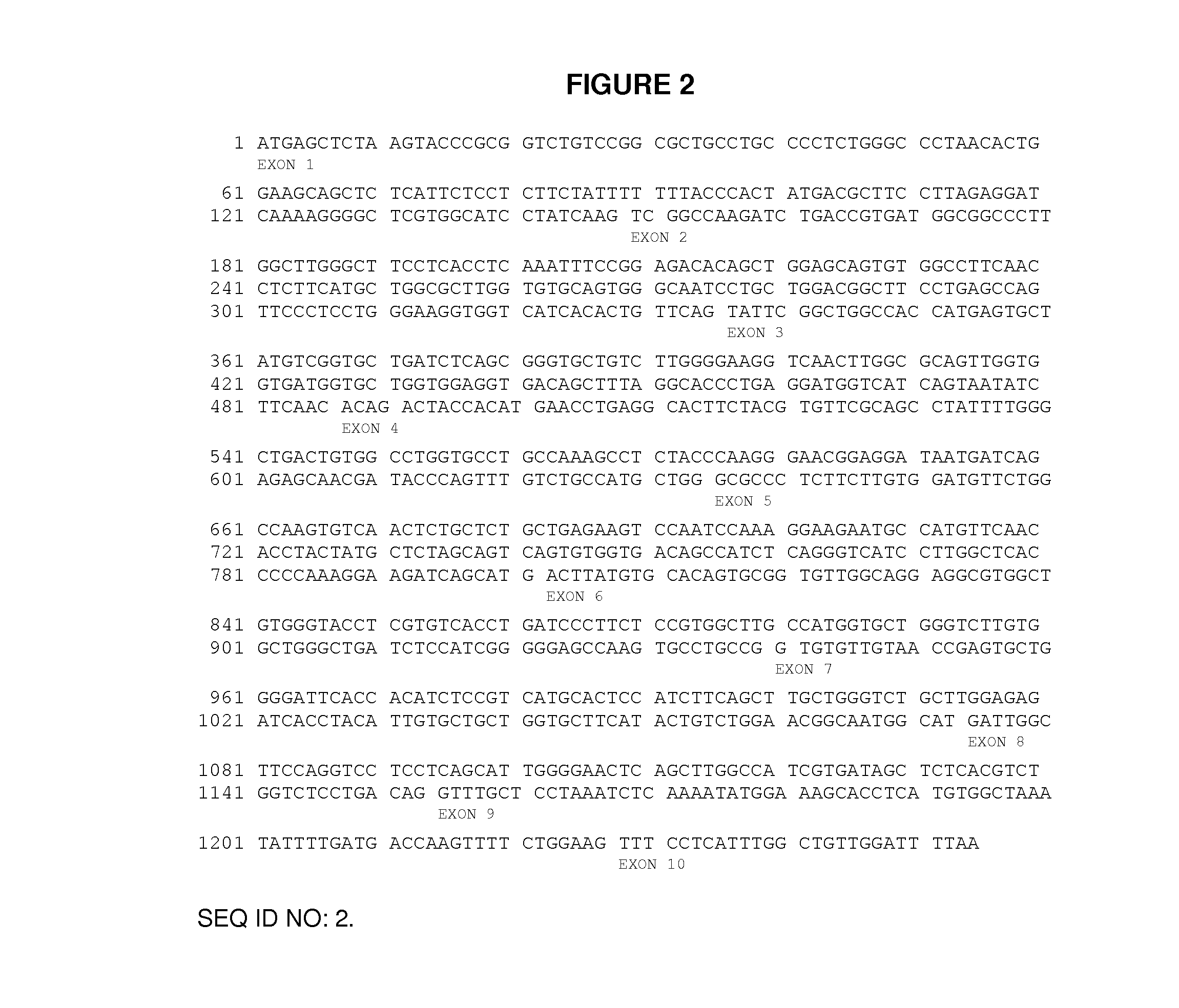 Method for the identification by molecular techniques of genetic variants that encode no d antigen (d-) and altered c antigen (c+w)