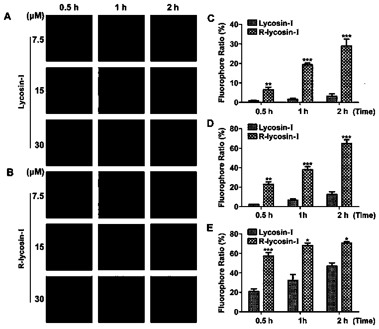 Anticancer active peptide and application