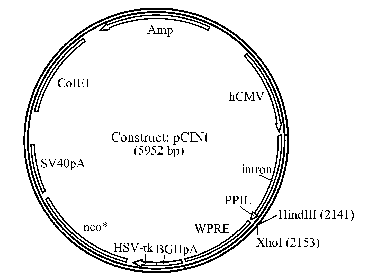 Manufacture of Highly Phosphorylated Lysosomal Enzymes and Uses Thereof