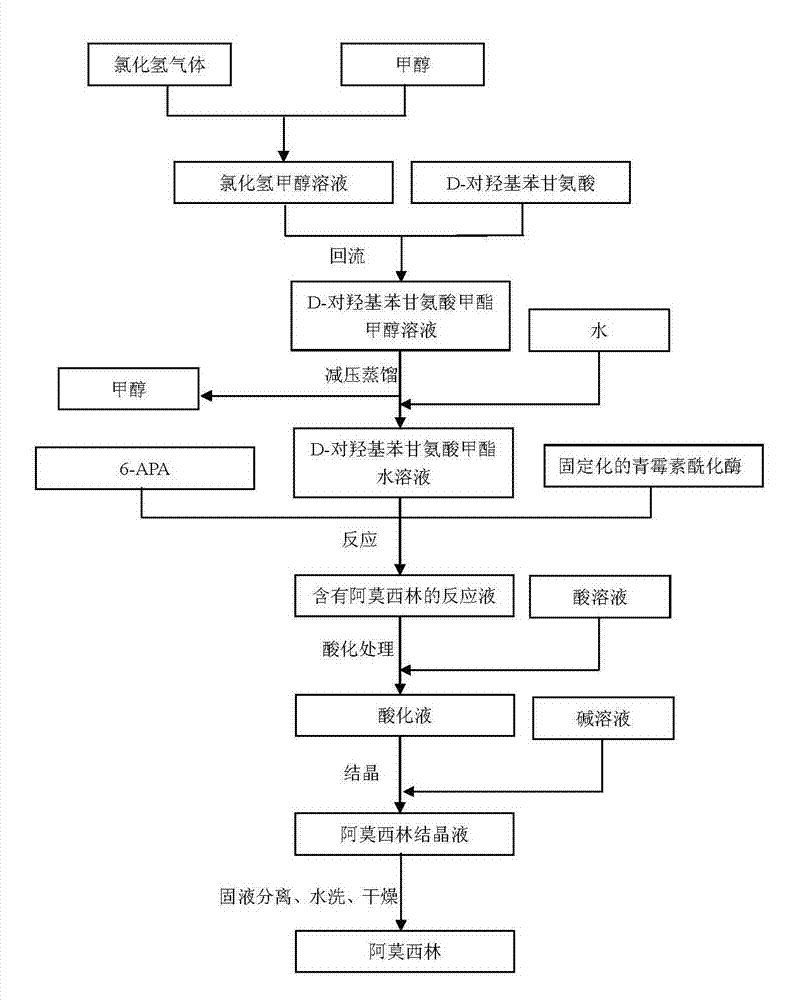 Preparation method of D-para hydroxybenzene glycine methyl ester