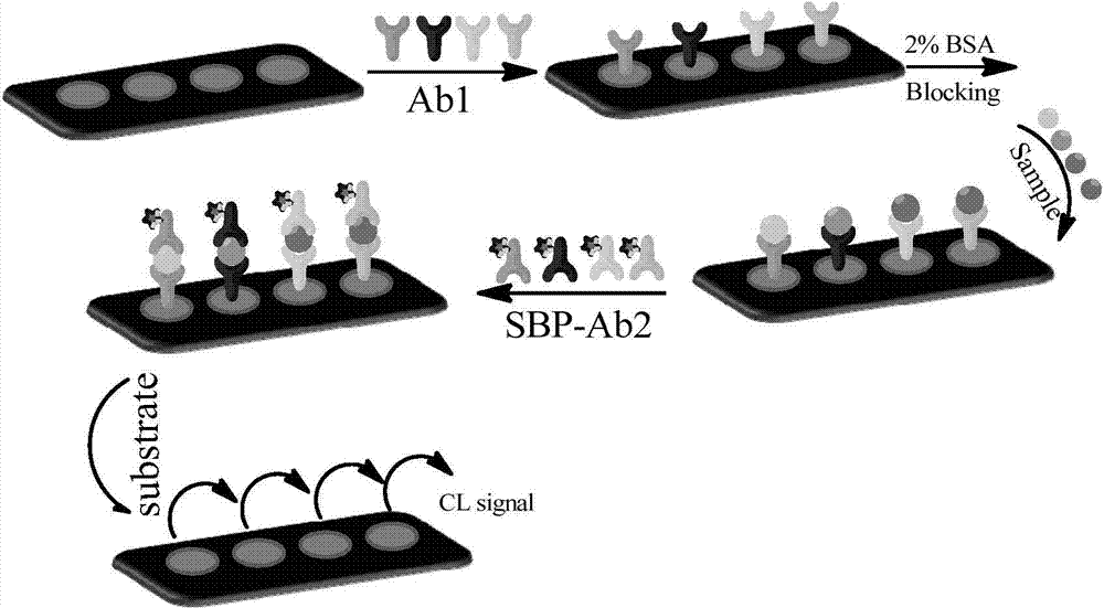 Soybean peroxidase immune biochip and application of thereof to detection of serum marks during down syndrome prenatal screening