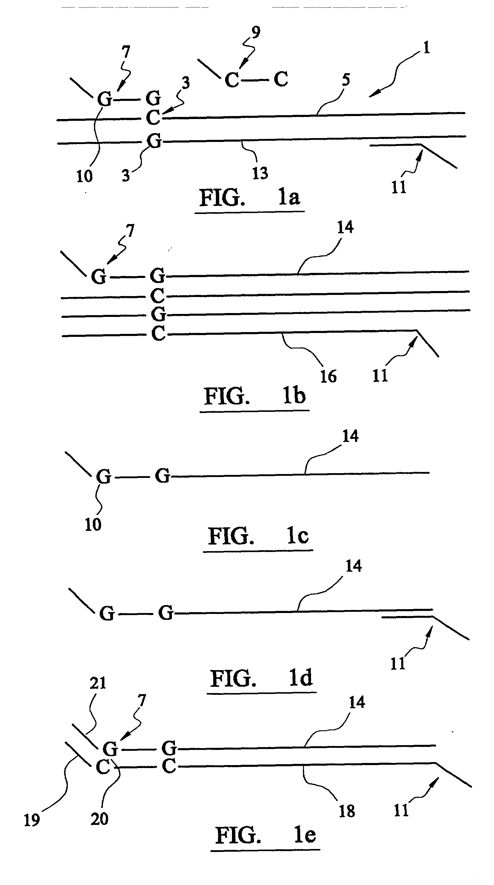 Analysis of DNA