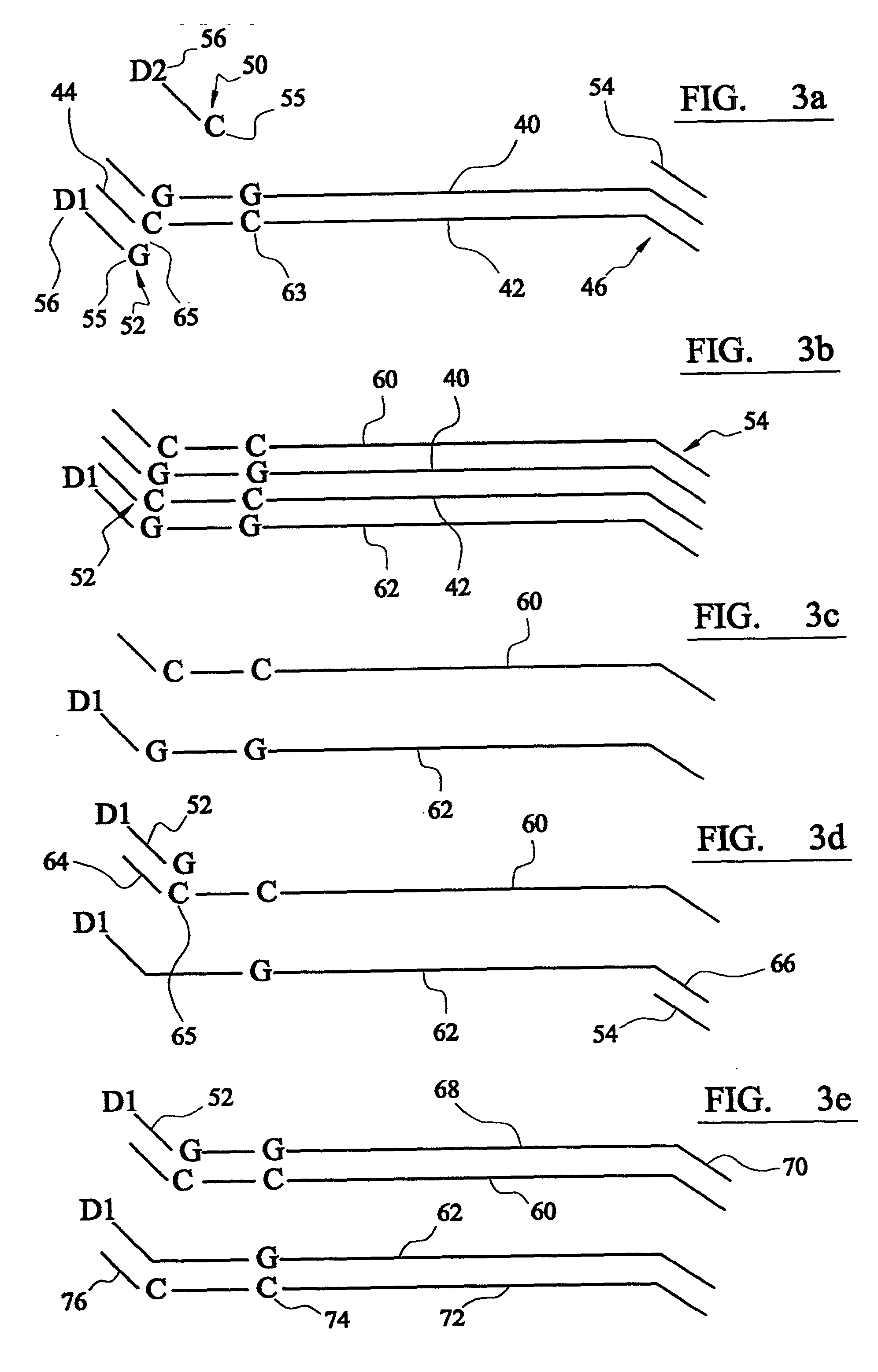 Analysis of DNA