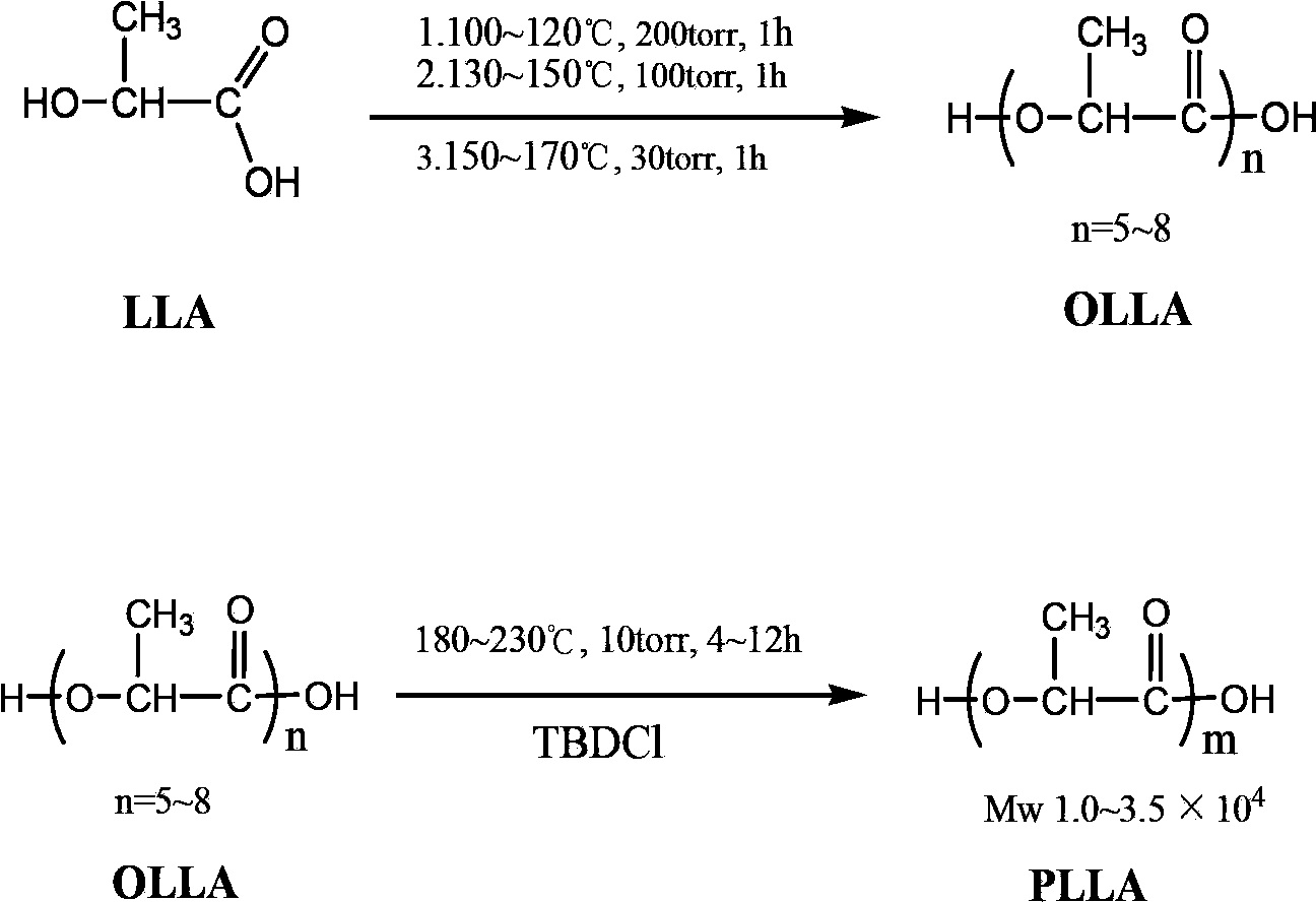 Technical method for synthesizing medical biodegradable polylactic acid by catalyzing condensation polymerization of lactic acid through chlorinated bicyclic guanidine