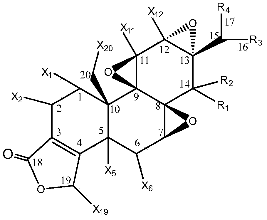 Preparation method of triptolide derivatives and products and application of triptolide derivatives