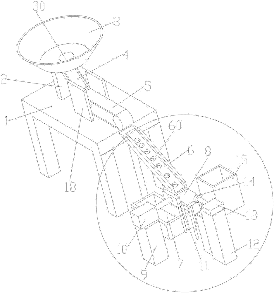 Mushroom screening device