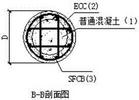 Steel fiber composite bar (SFCB) and engineered cementitious composite (ECC)-concrete composite column/ pier and preparation method thereof