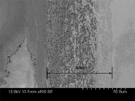 Micro-filtration membrane for filtering PM2.5 particulate matters and preparation method of membrane