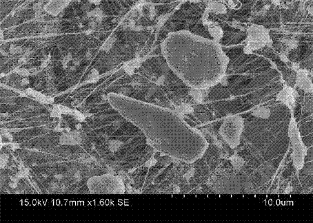 Micro-filtration membrane for filtering PM2.5 particulate matters and preparation method of membrane