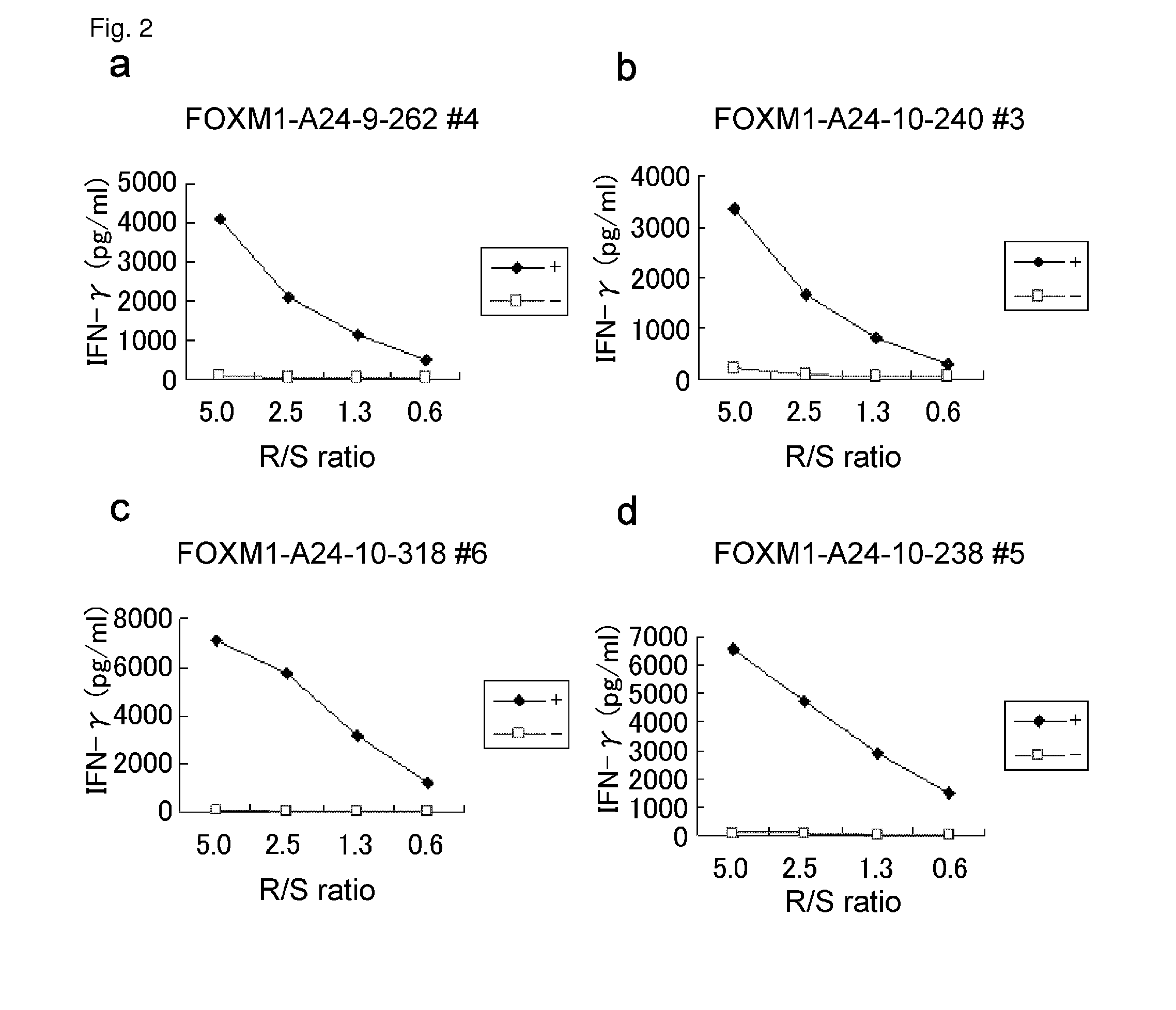 FOXM1 peptides and immunogenic compositions containing them