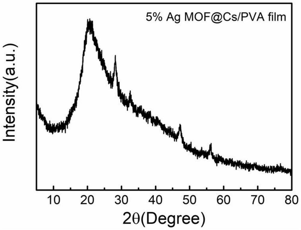 Ag-MOF composite chitosan-based film as well as preparation method and application thereof