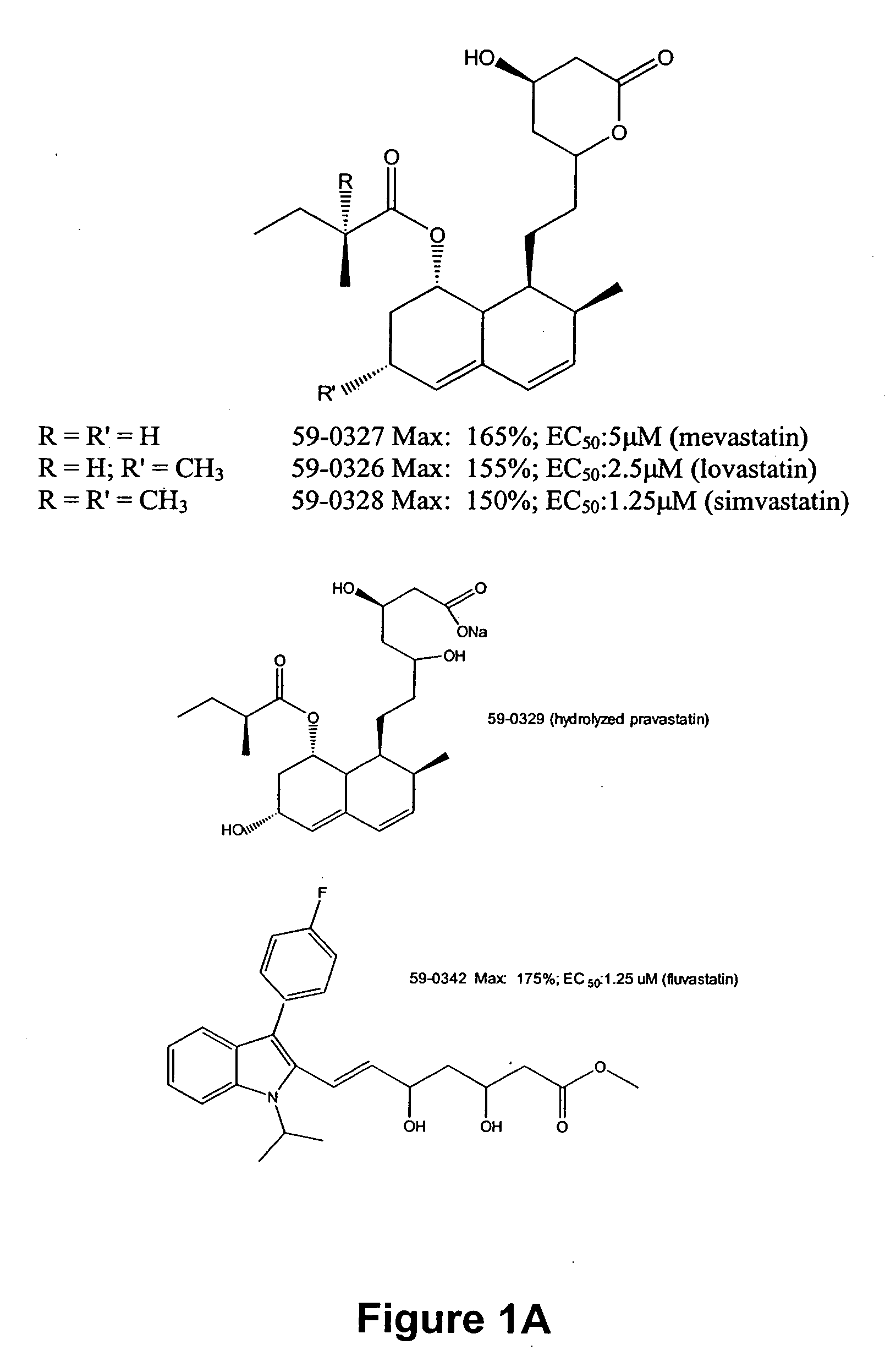 Isoprenoid pathway inhibitors for stimulating cartilage growth