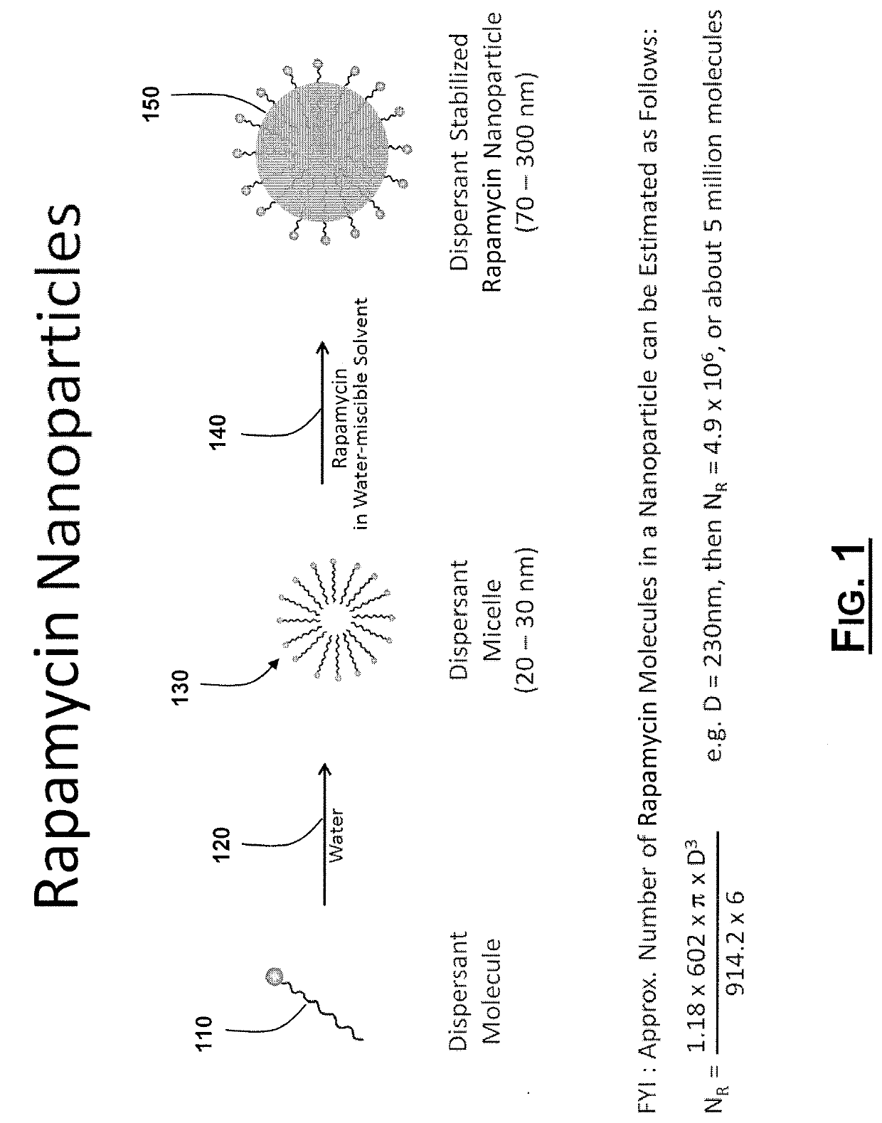 Oral Rapamycin Nanoparticle Preparations and Use