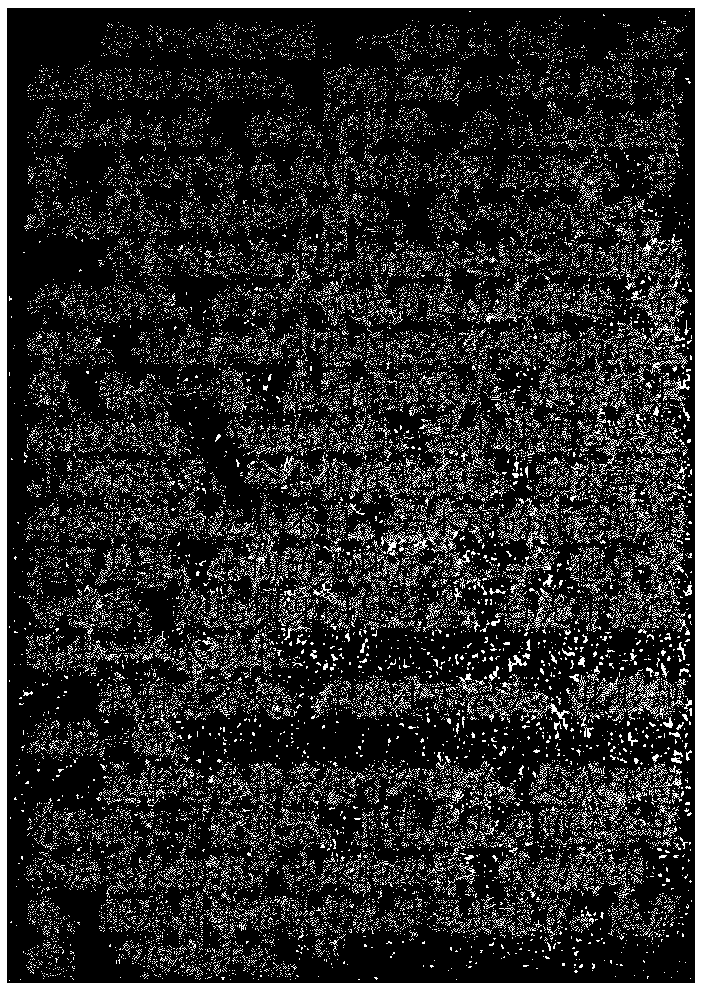 Processing method for electronic book comment information, electronic equipment and storage medium