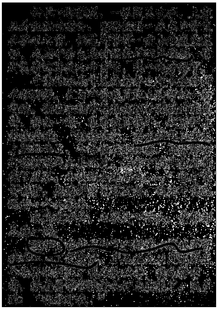 Processing method for electronic book comment information, electronic equipment and storage medium