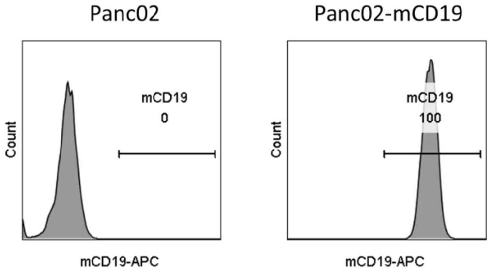 Engineered immune cells and application thereof