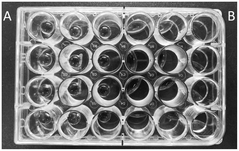 Preparation and application of high-throughput in-situ observable cell 3D culture plate