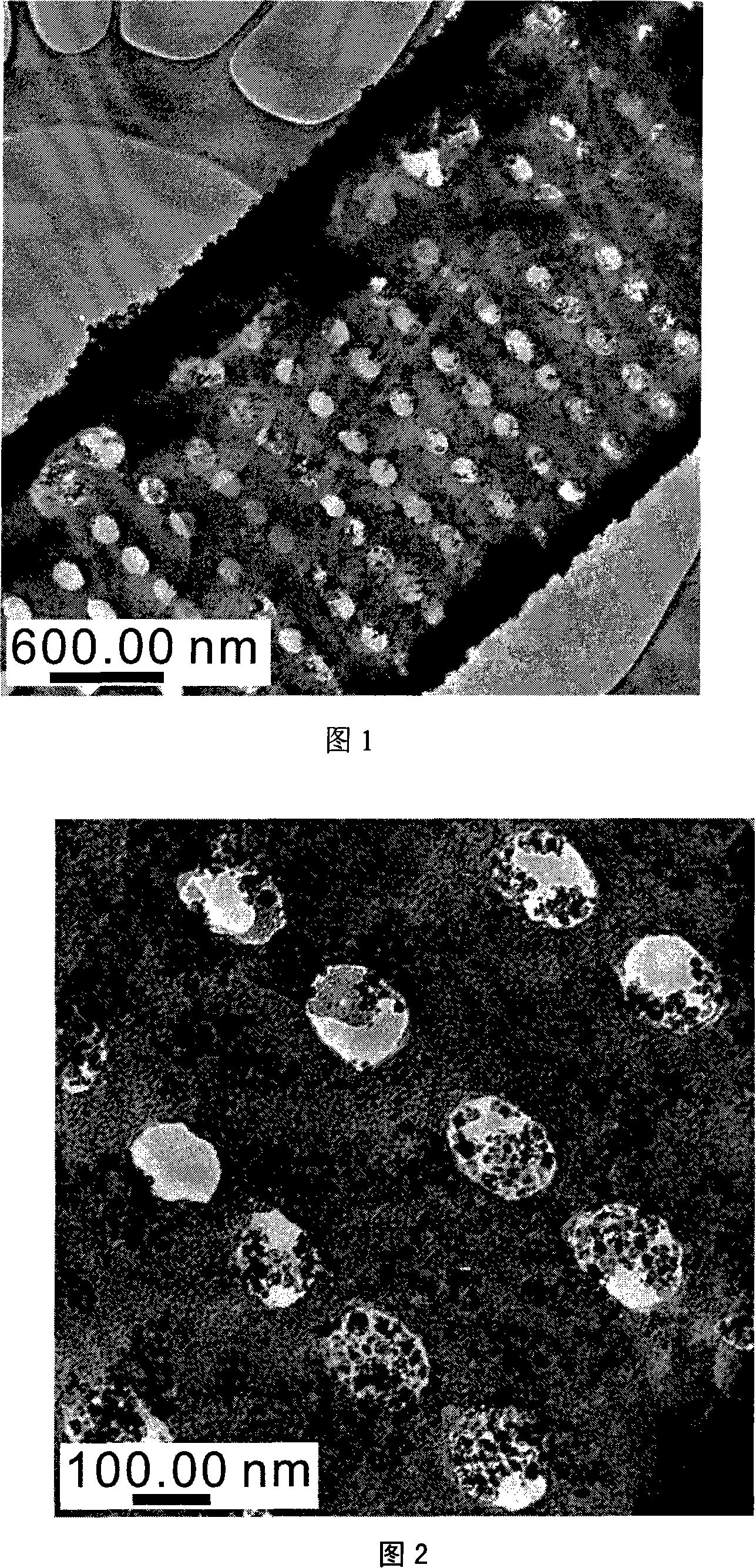 Preparation method of nano magnetite/diatomite composition for removing Cr6+ in water