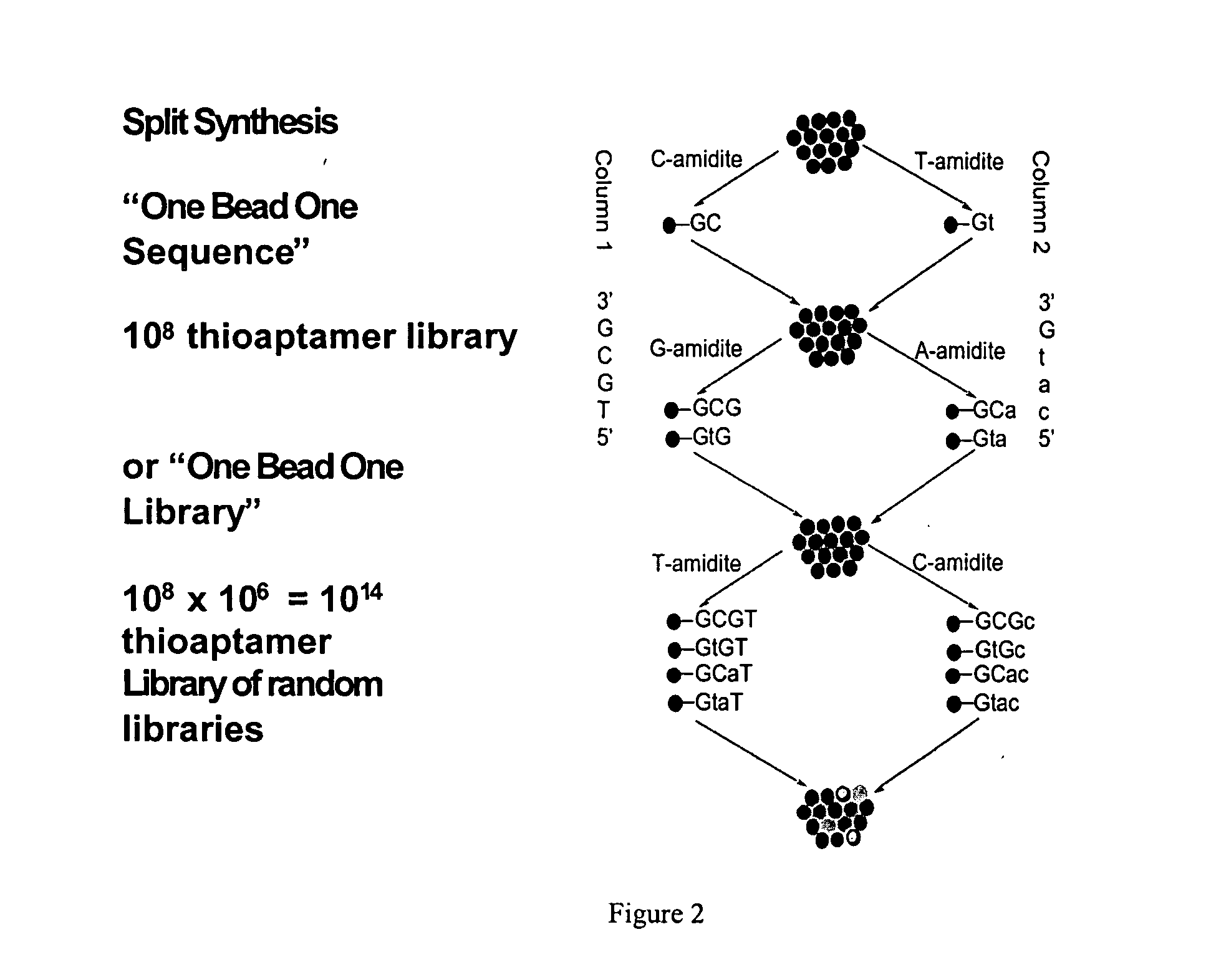 Bead bound combinatorial oligonucleoside phosphorothioate and phosphorodithioate aptamer libraries