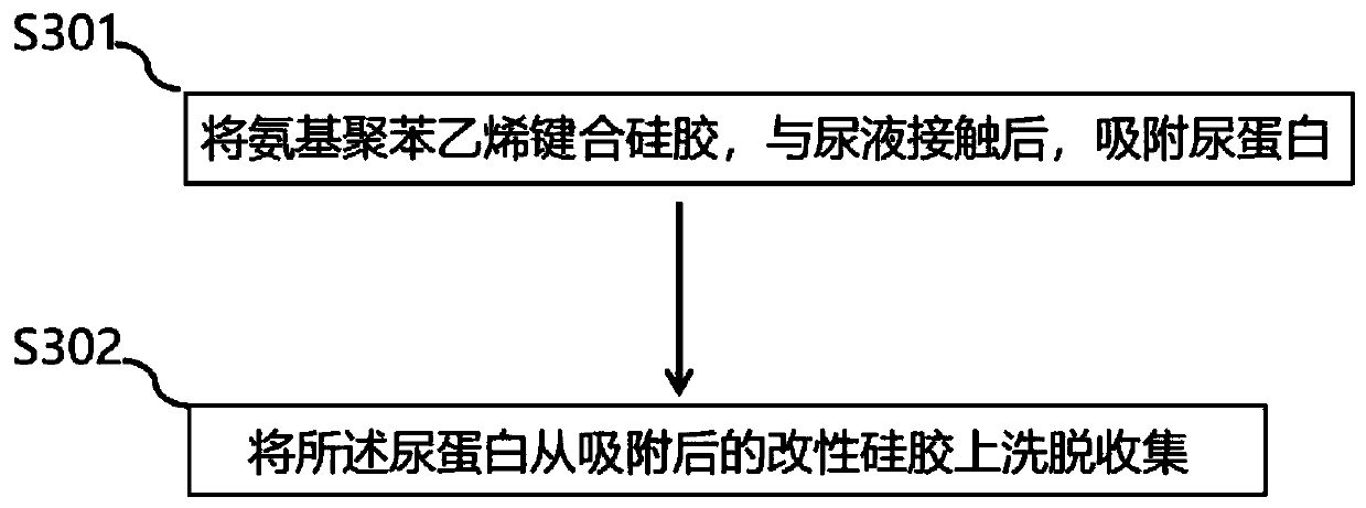 Preparation method and application of modified silica gel for extracting urine protein