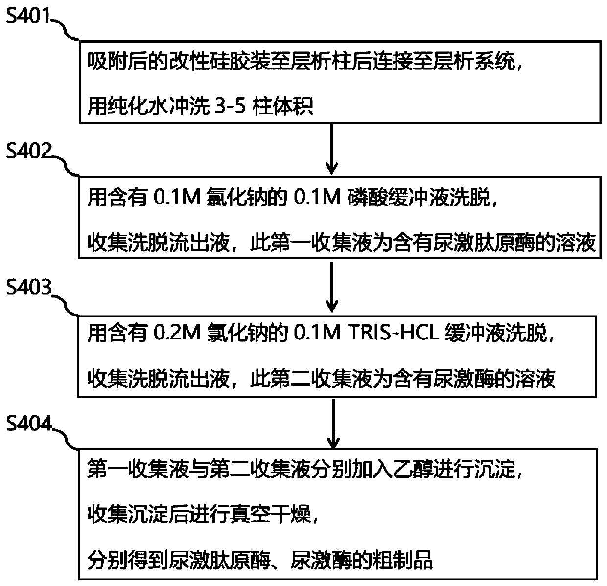 Preparation method and application of modified silica gel for extracting urine protein