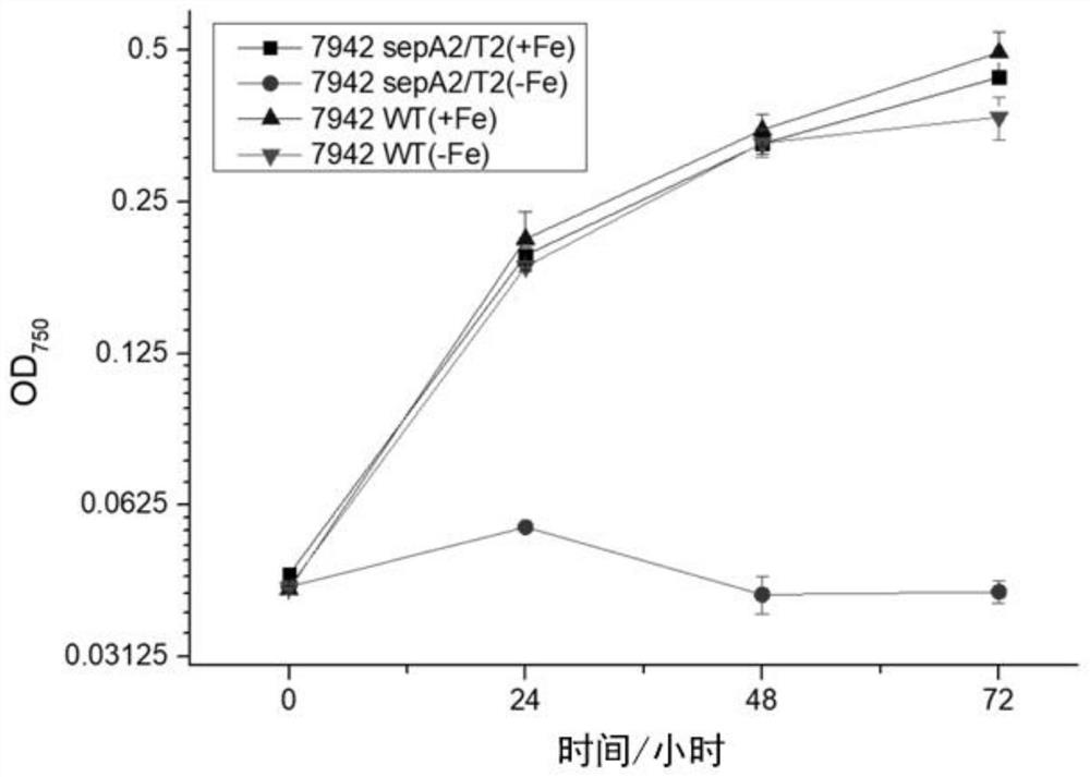 A biostorage system, construction method and application suitable for Synechococcus