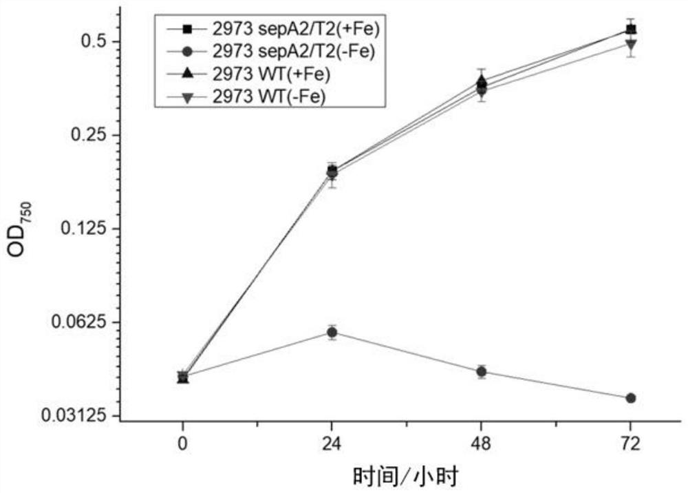 A biostorage system, construction method and application suitable for Synechococcus