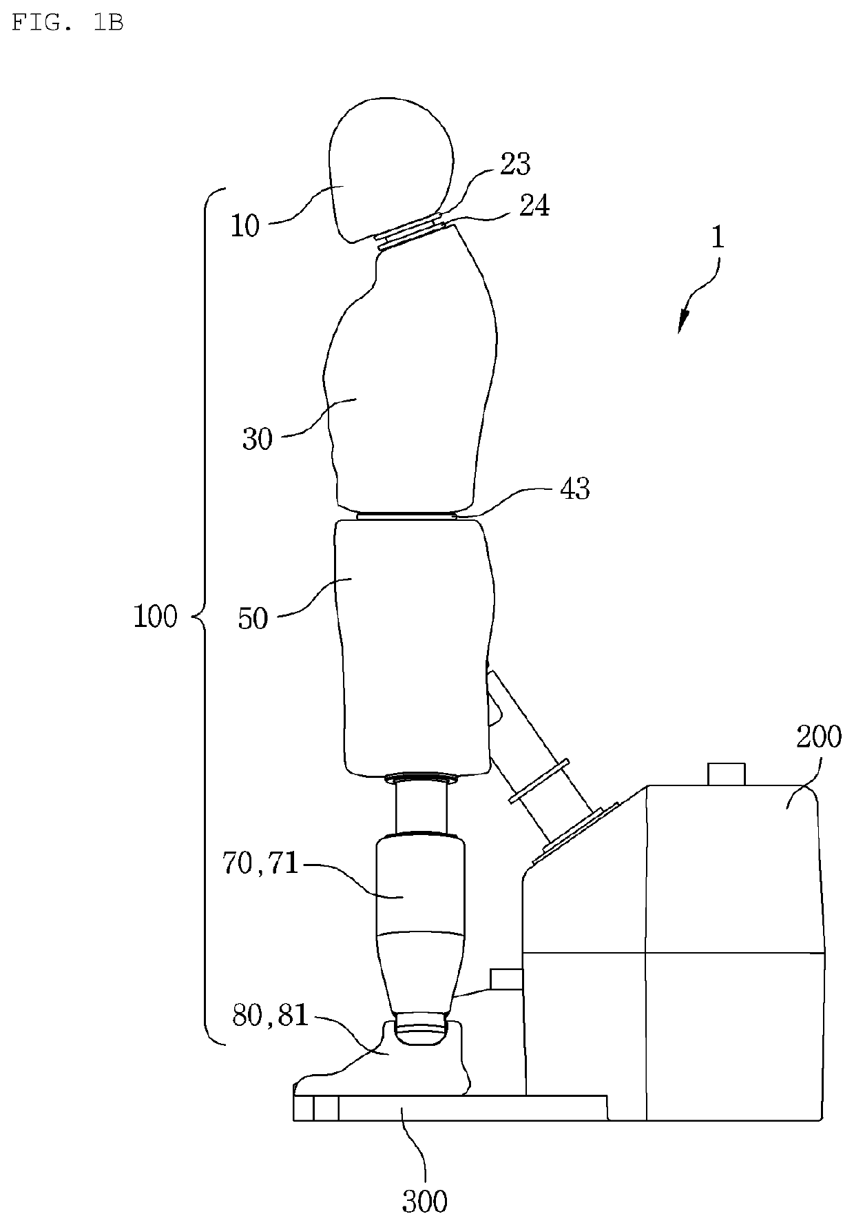 Whole body-shaped striking dummy including joints