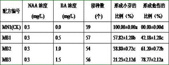 Manufacture method of angiopteris esculenta tube flowers