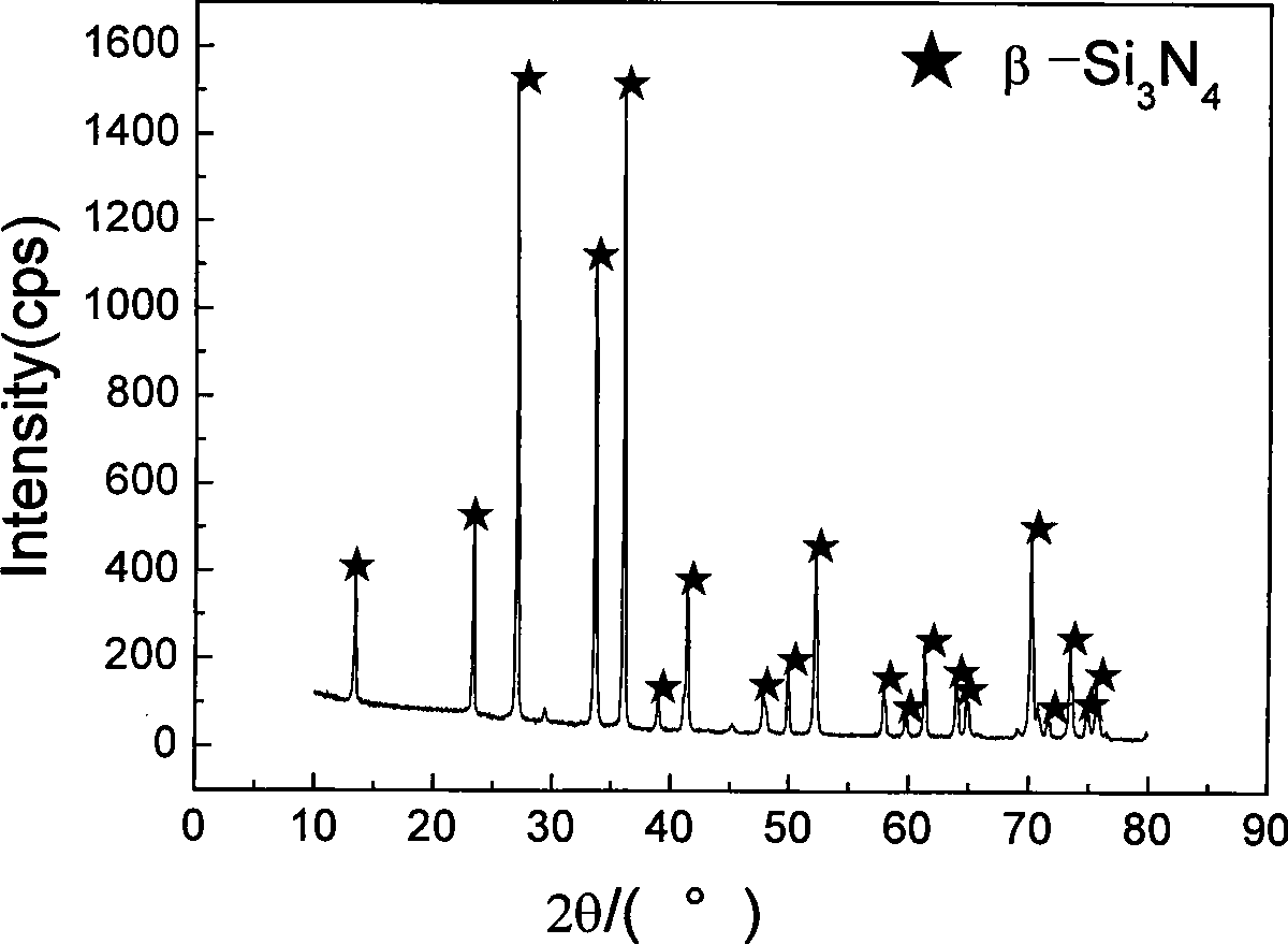 Method for preparing silicon nitride porous ceramic by gel injection moulding