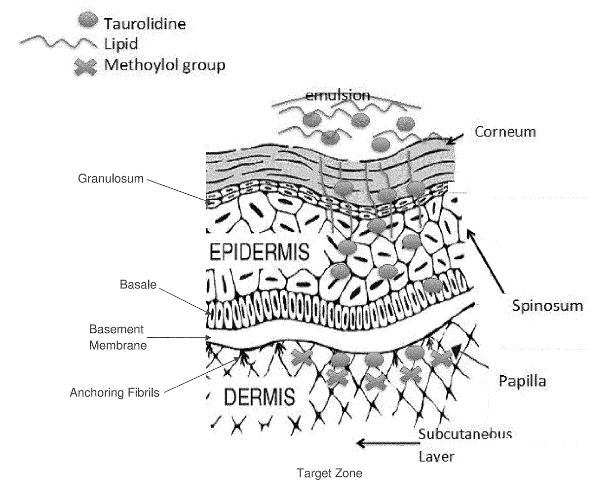 Skin-penetrating formulation of taurolidine