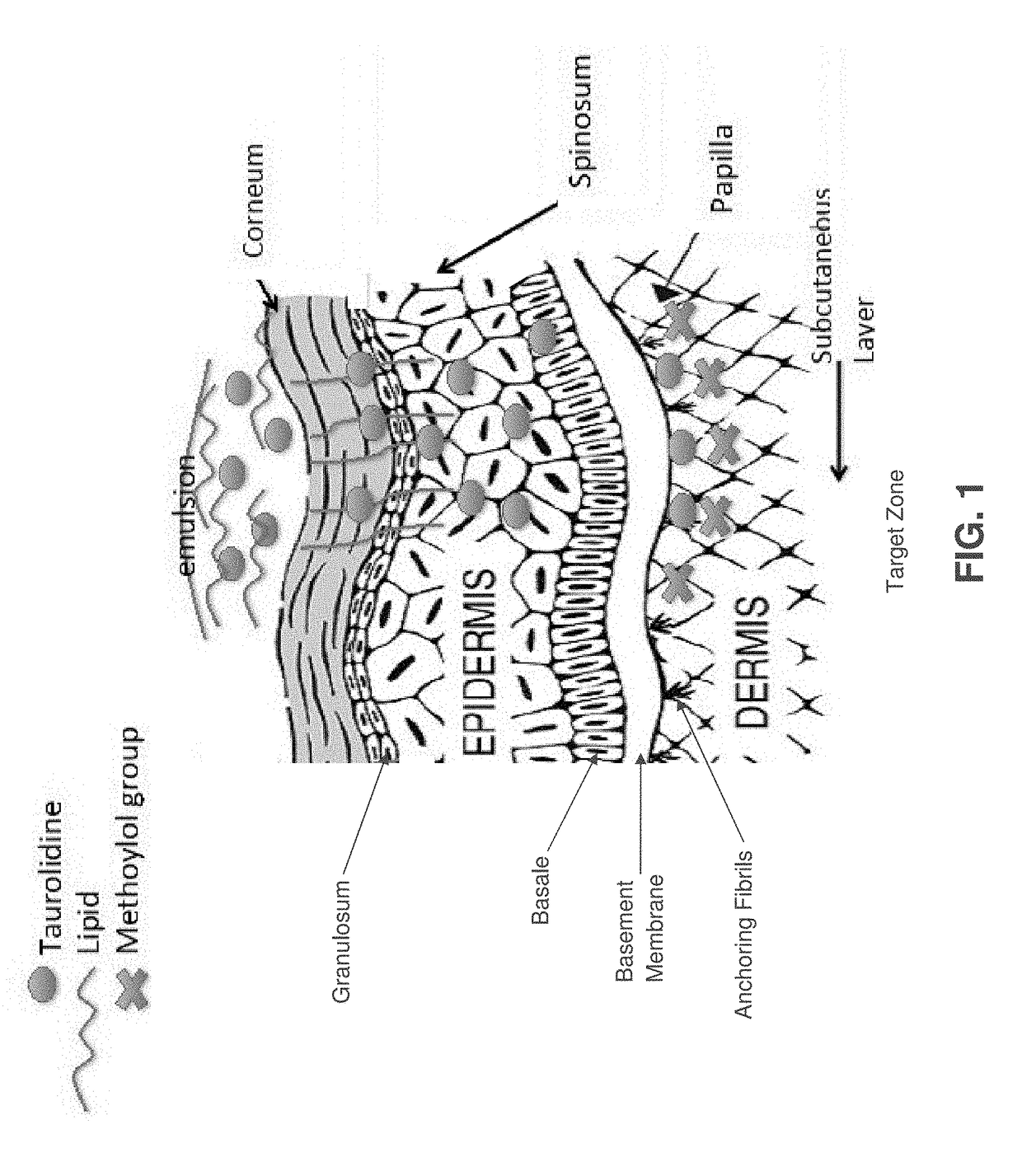 Skin-penetrating formulation of taurolidine