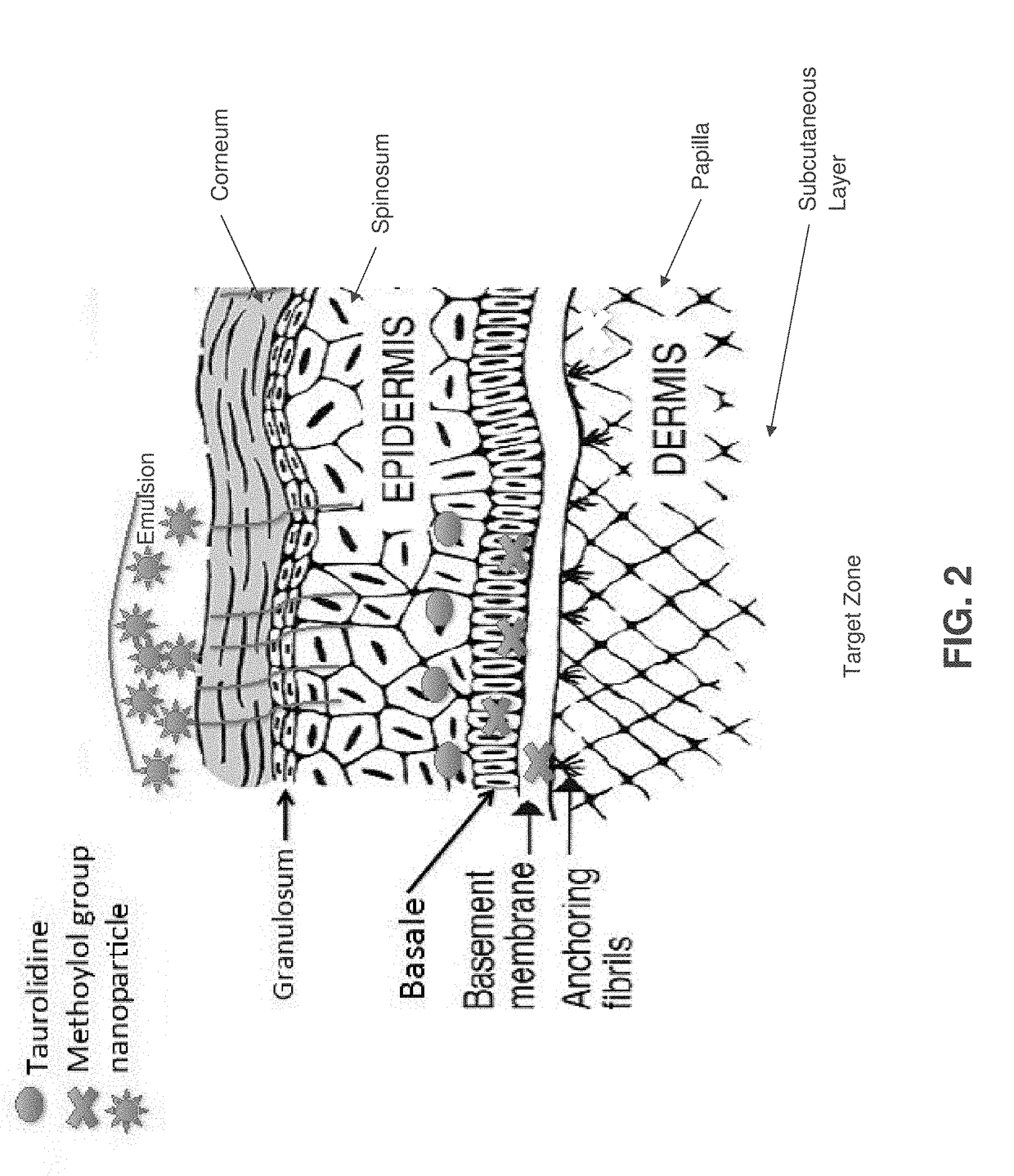 Skin-penetrating formulation of taurolidine