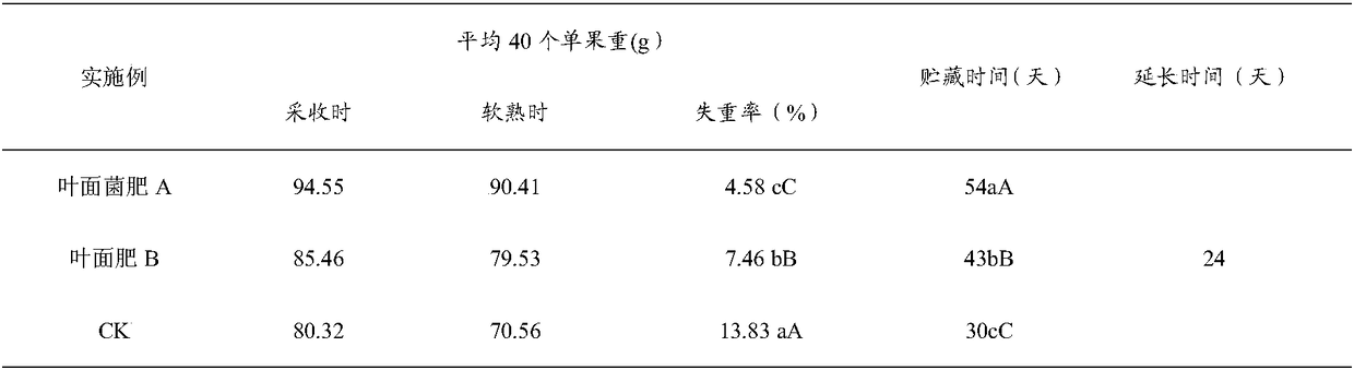 Foliar bacterial fertilizer for actinidia chinensis as well as preparation method and application thereof