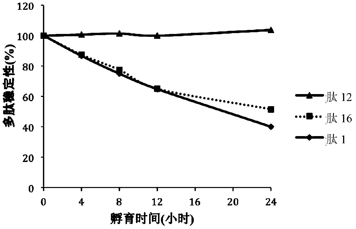 A kind of polypeptide, polypeptide derivative, pharmaceutically acceptable salt of polypeptide and pharmaceutical composition