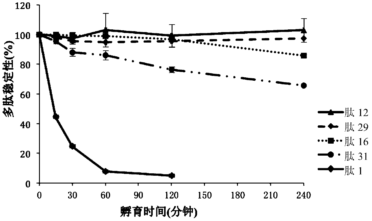 A kind of polypeptide, polypeptide derivative, pharmaceutically acceptable salt of polypeptide and pharmaceutical composition