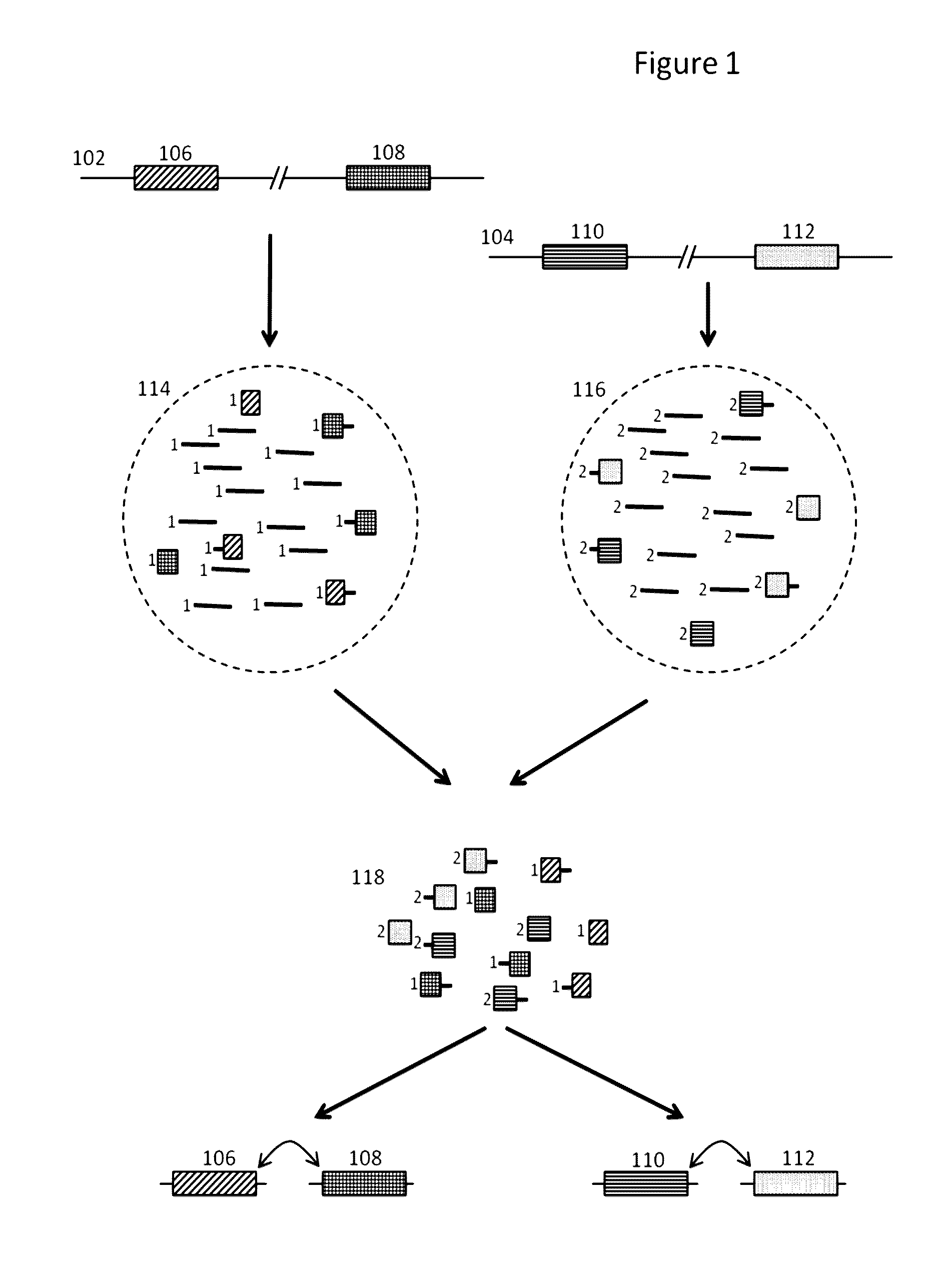 Methods and compositions for targeted nucleic acid sequencing