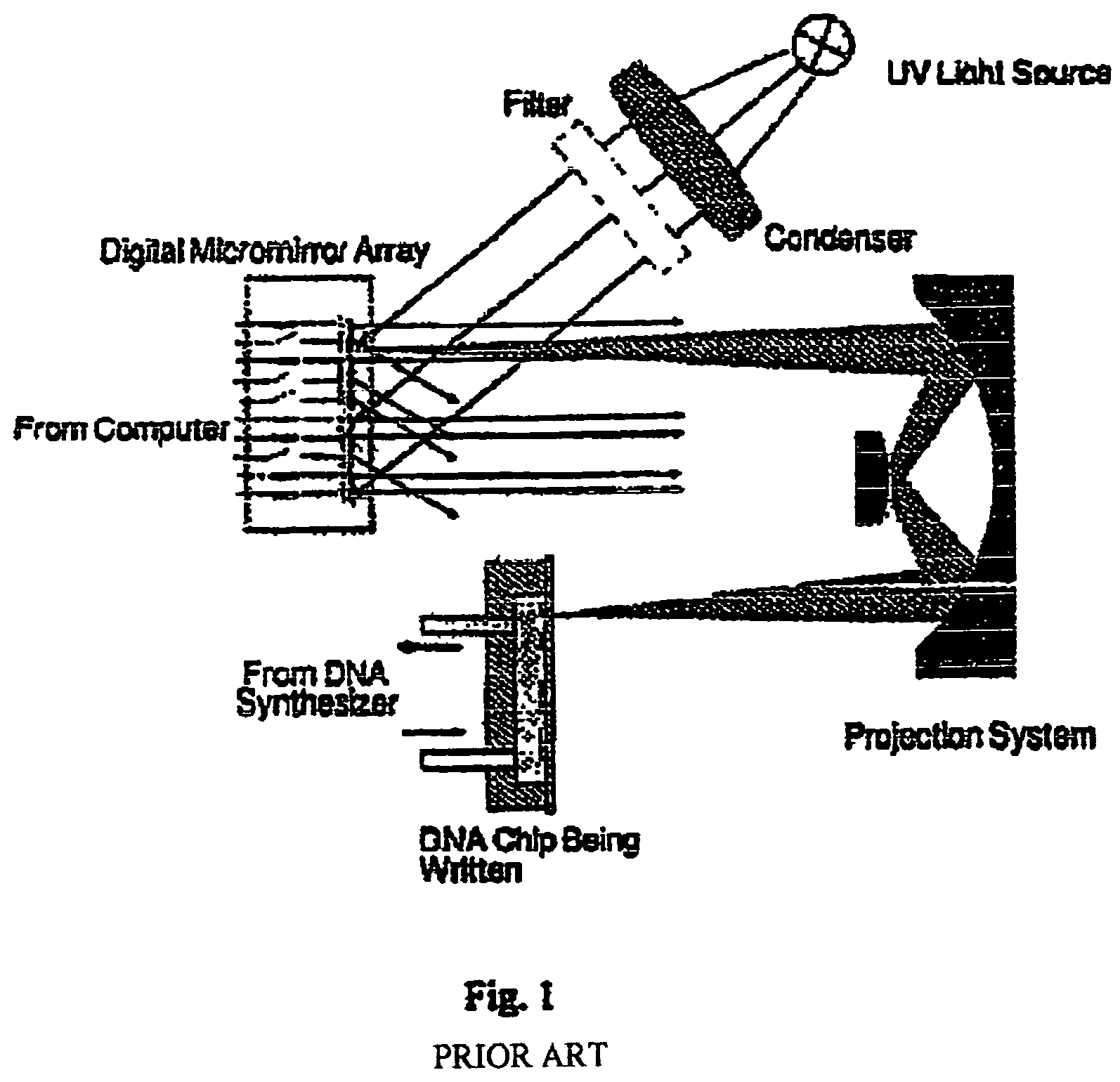 Systems and methods for localizing and analyzing samples on a bio-sensor chip