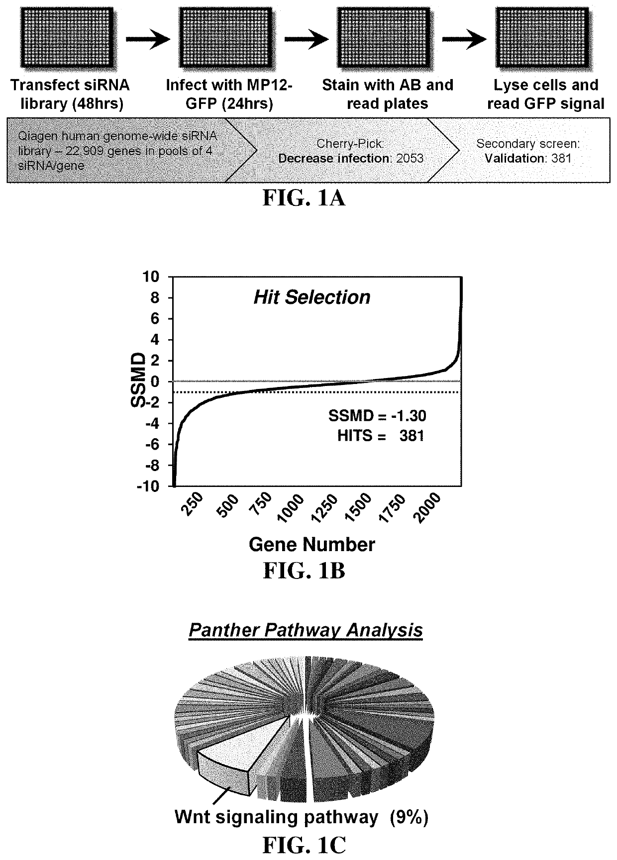 Methods for treating diseases related to the wnt pathway