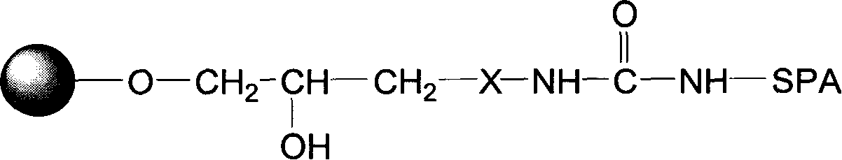 Blood purifying protein A immunoadsorption material and synthesizing method thereof