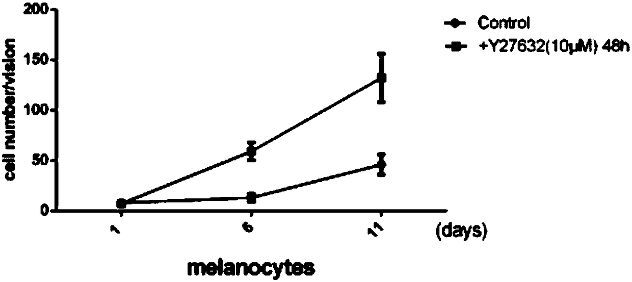 Method for efficient separation and culture of human primary melanin cells