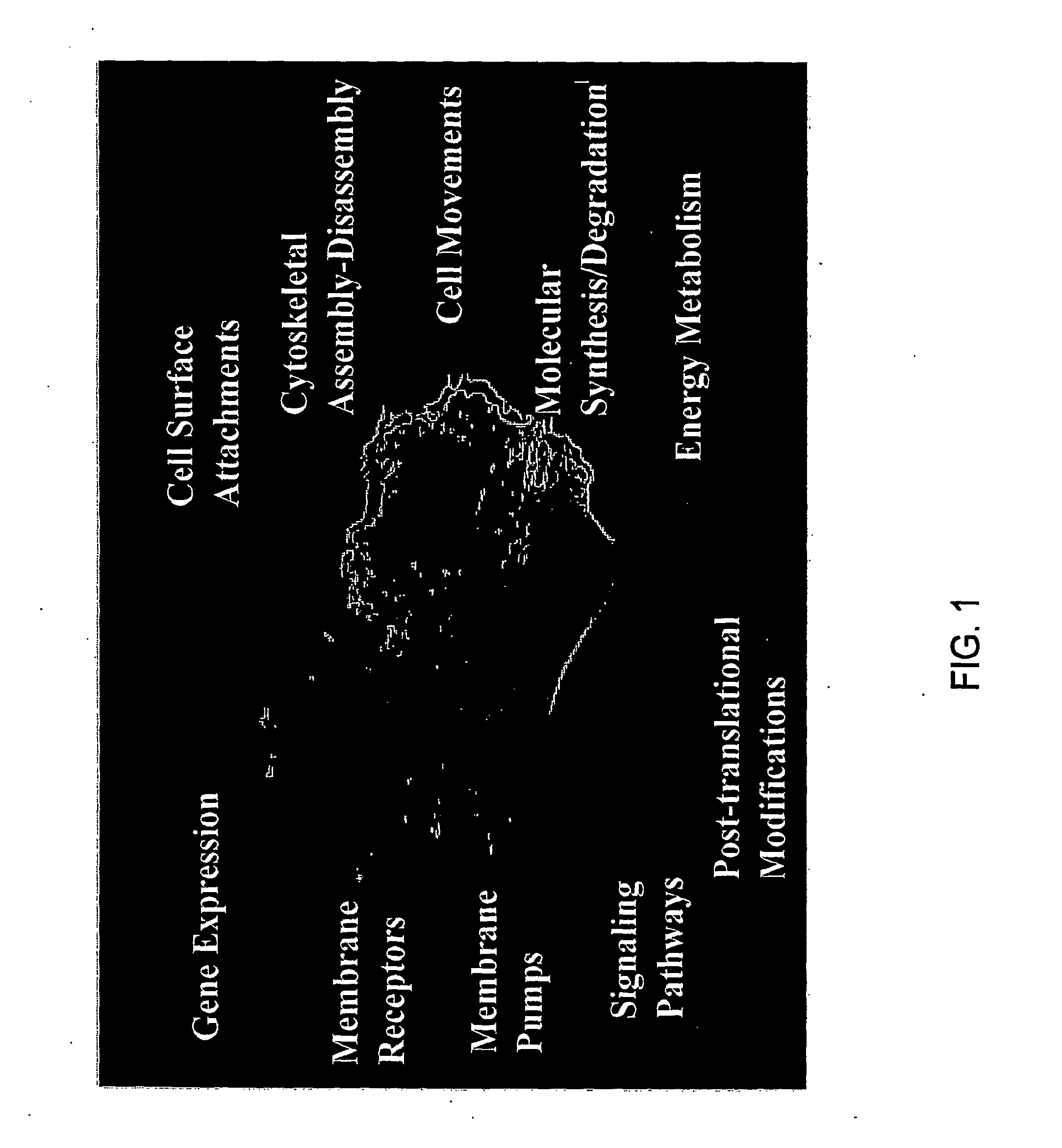 Method for Modeling a Disease